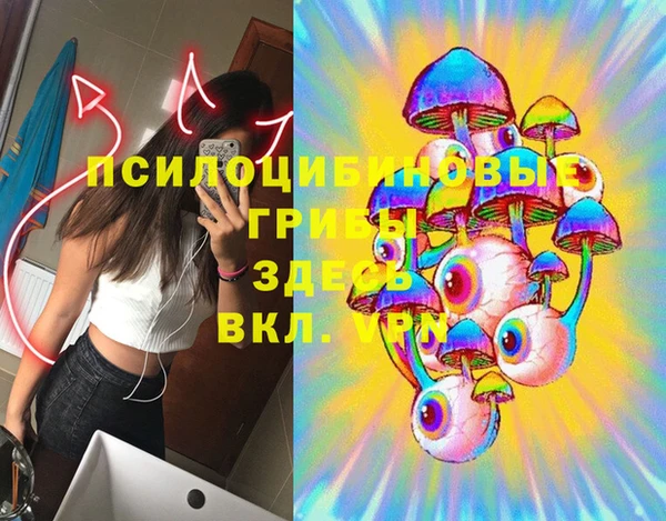 спайс Алзамай