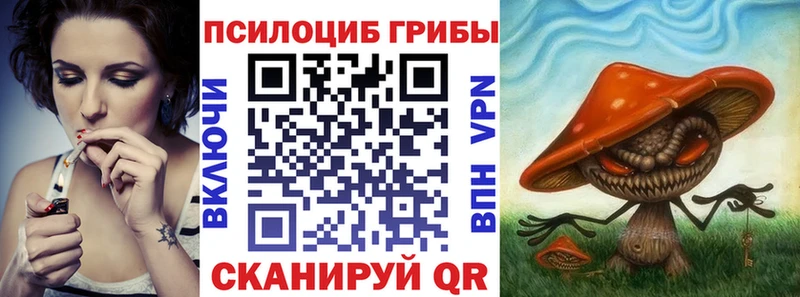 Галлюциногенные грибы Cubensis  сколько стоит  omg рабочий сайт  Алзамай 